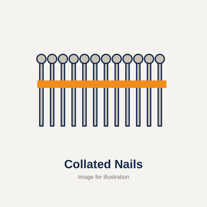Collated Nails (image for illustration)